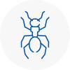 Ant Removals In Cheltenham
