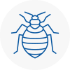 Bed Bug Extermination In Cheltenham