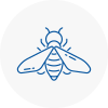 Bee Nest Removal Cheltenham