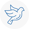 Bird Prevention Cheltenham