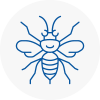 Cheltenham Hornet Nest Removals
