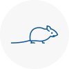 Mice Exterminators In Cheltenham