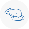 Rat Control Cheltenham
