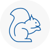 Cheltenham Rodent Removals