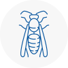 Cheltenham Wasp Nest Removal